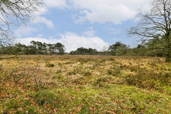 Medium property photo - Graaf Wichmanlaan 13AB8, 1405 GW Bussum